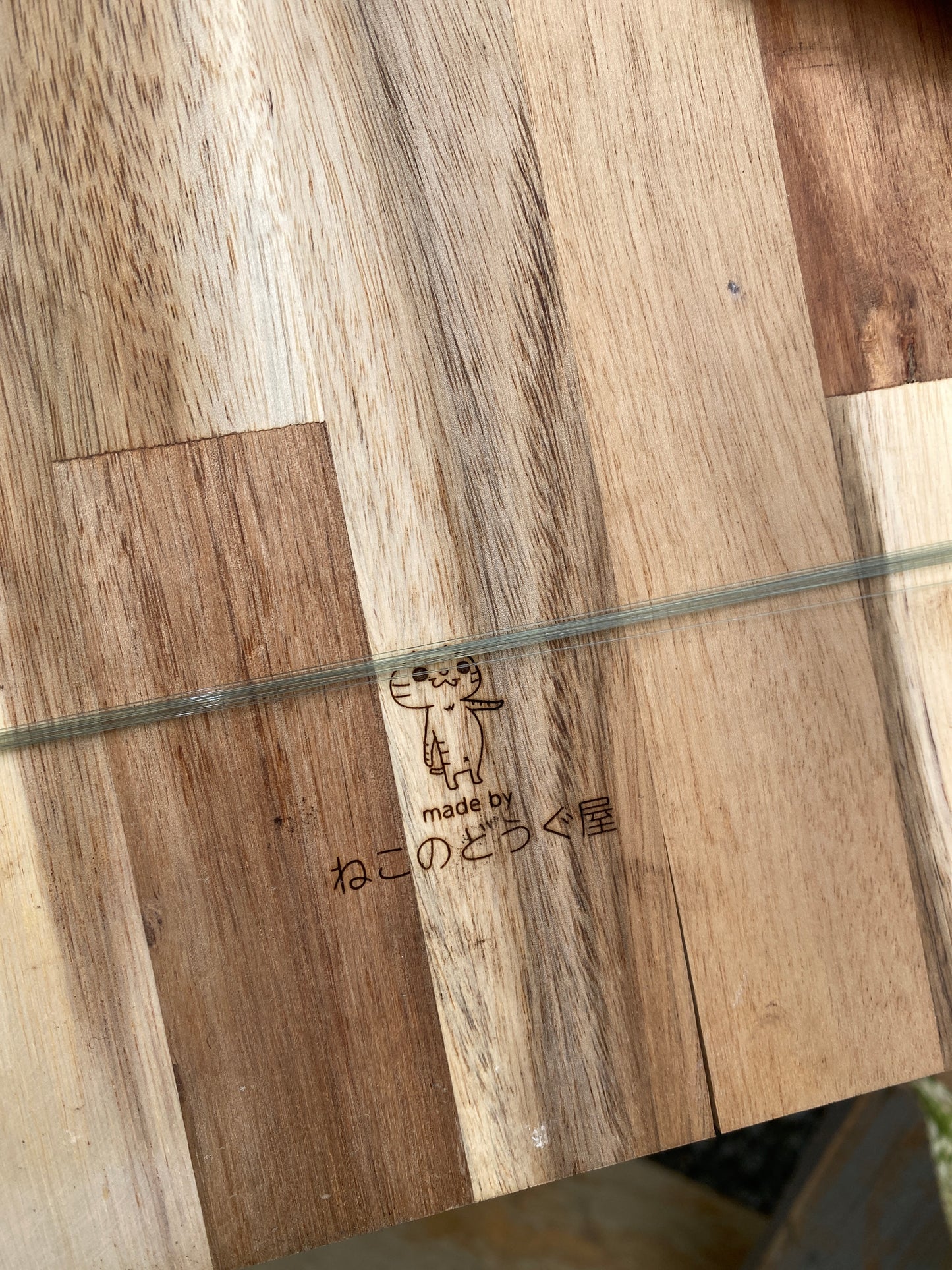 No.19014　ネオレゲリア　ねこの着生板仕立て