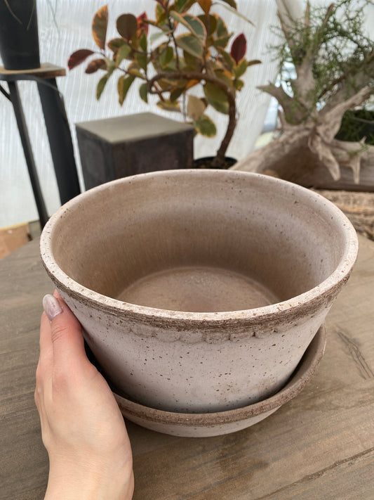 BERGS　ヘレナ21　LOW　グレー