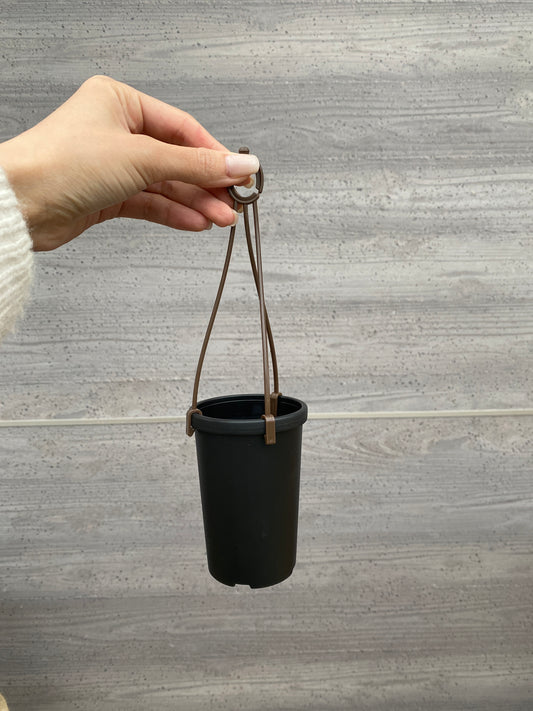 アコプラ　10個セット　2号鉢