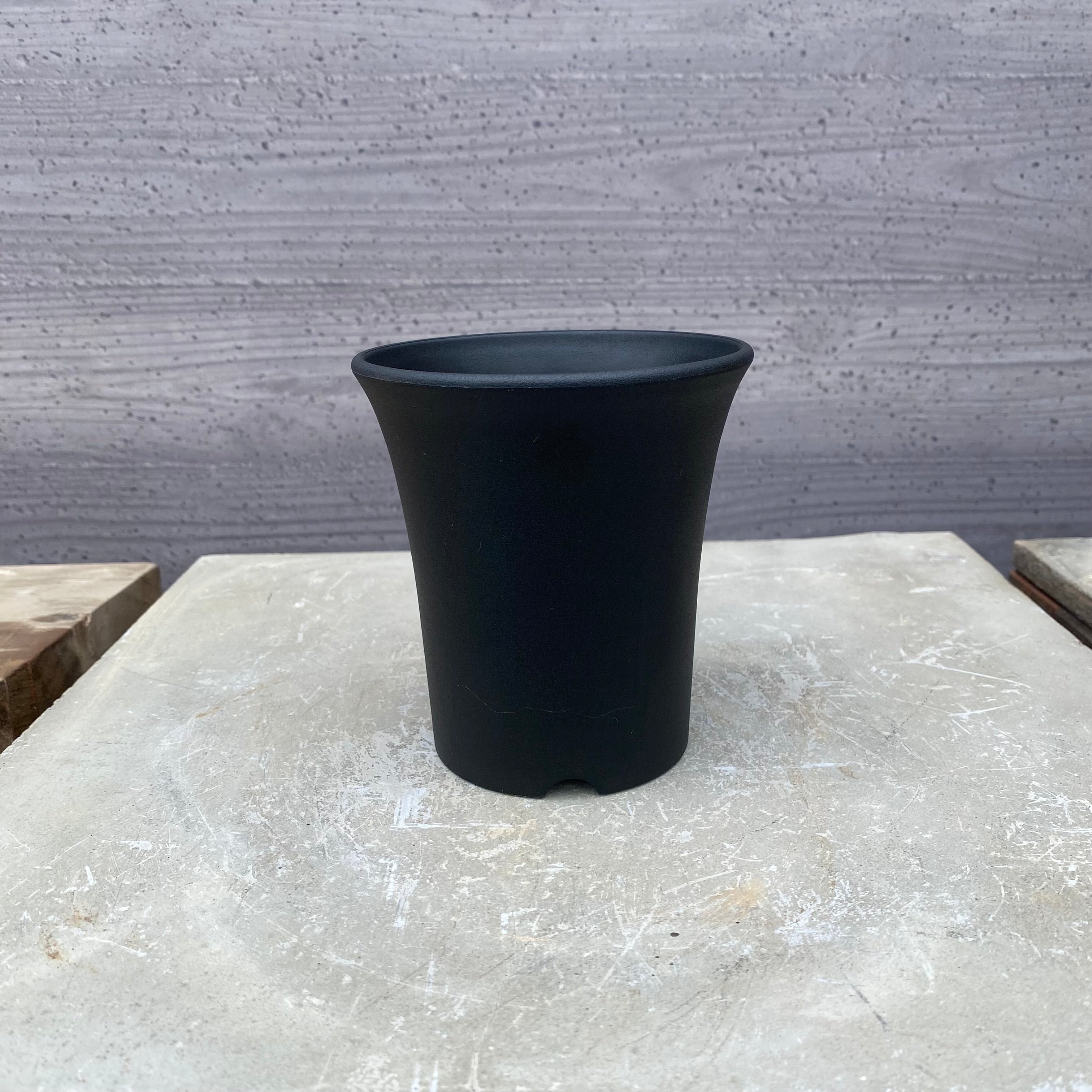 Pickup 全ての商品 – 植物家族