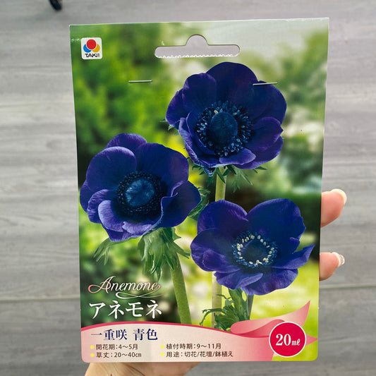 アネモネ　球根　一重咲き　青色