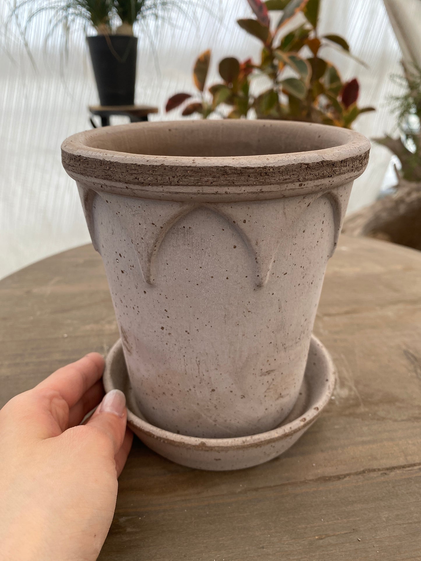 BERGS　エリザベス14　グレー