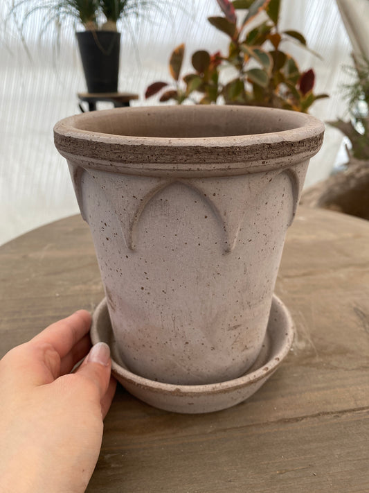 BERGS　エリザベス14　グレー