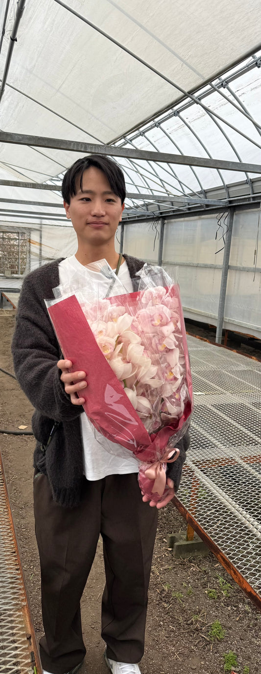 すくもがーでんふぁーむ★シンビジウム　ミツボシ　5本花束