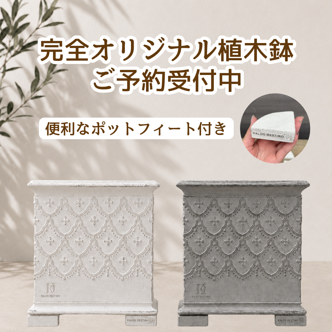 デザイン、重さ、通気性、大きさなど細部までこだわったオリジナル鉢完成しました！お届けは９月下旬頃を予定しています