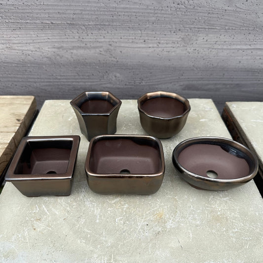 MINI PLANTERS BRONZE 5個セット