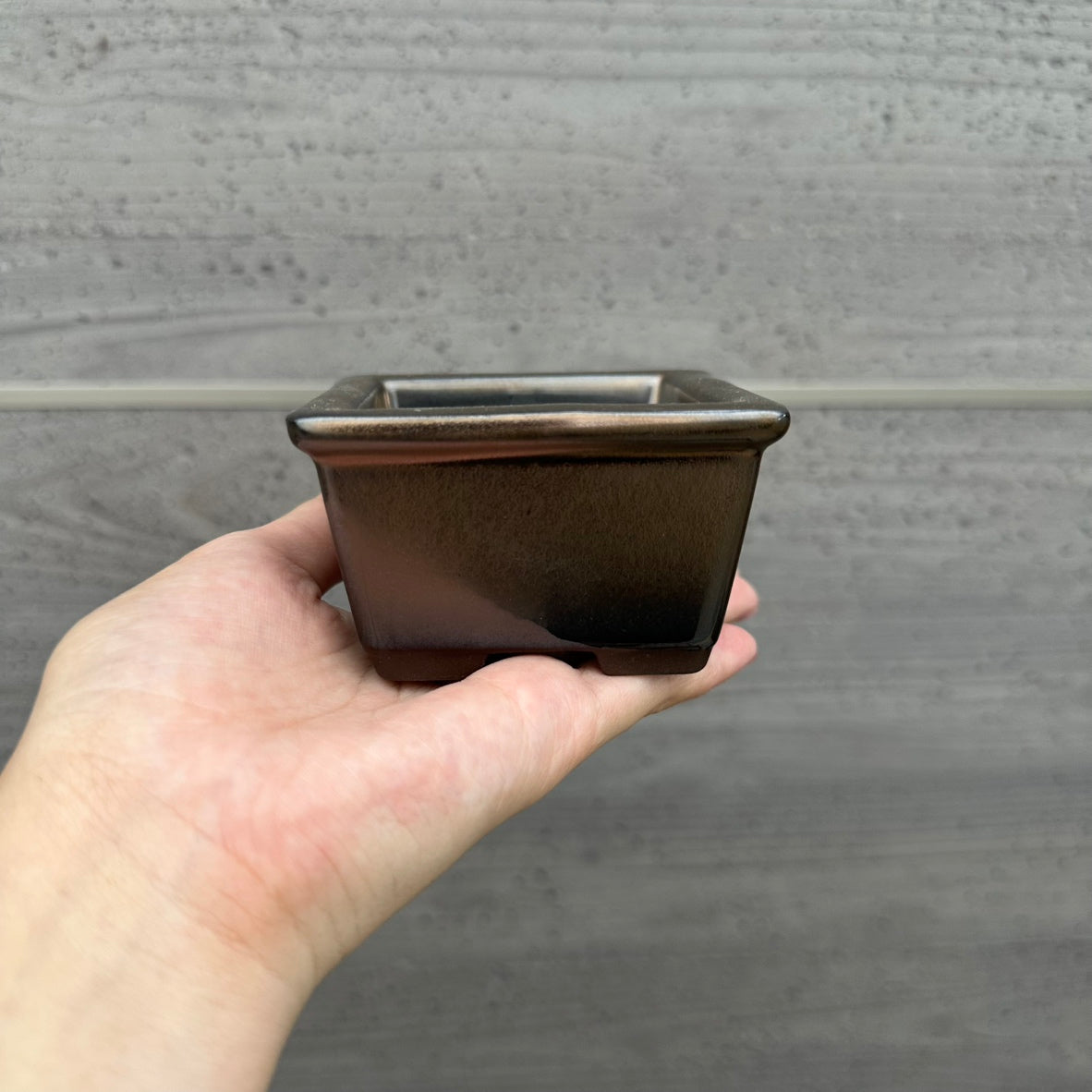 MINI PLANTERS BRONZE　５個セット