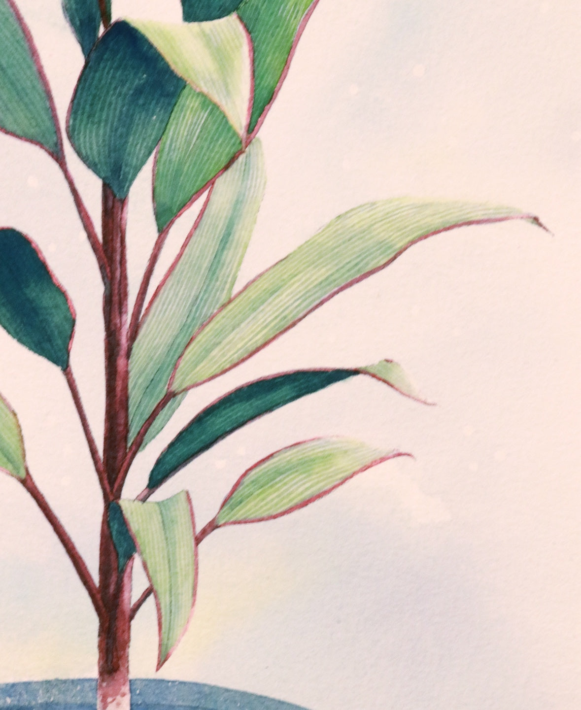 原画★コルジリネ　47.5×29cm