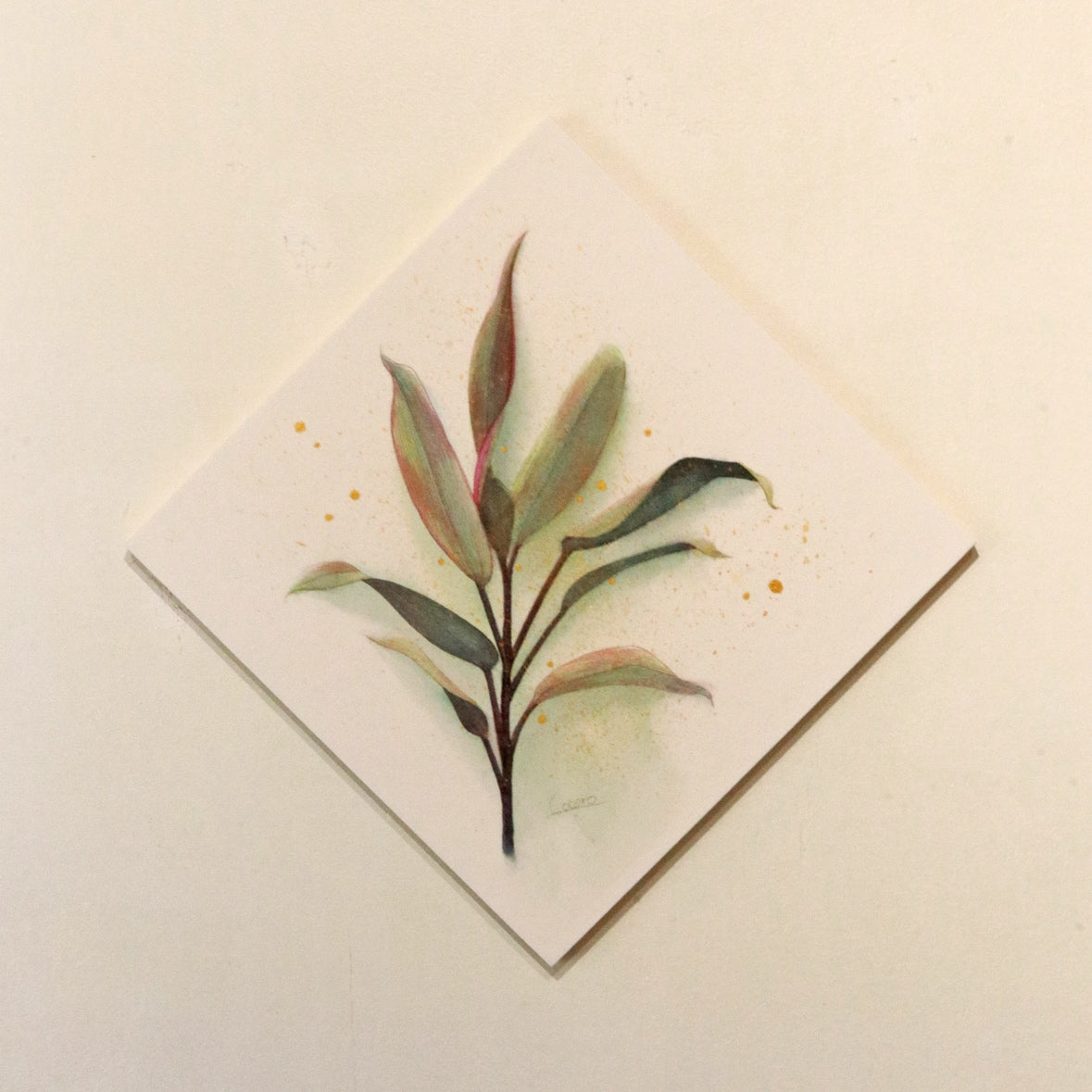原画★コルジリネ　20×20cm