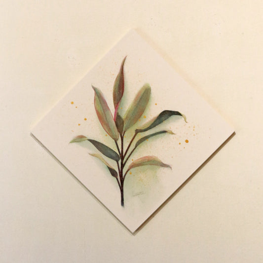 原画★コルジリネ 20×20cm