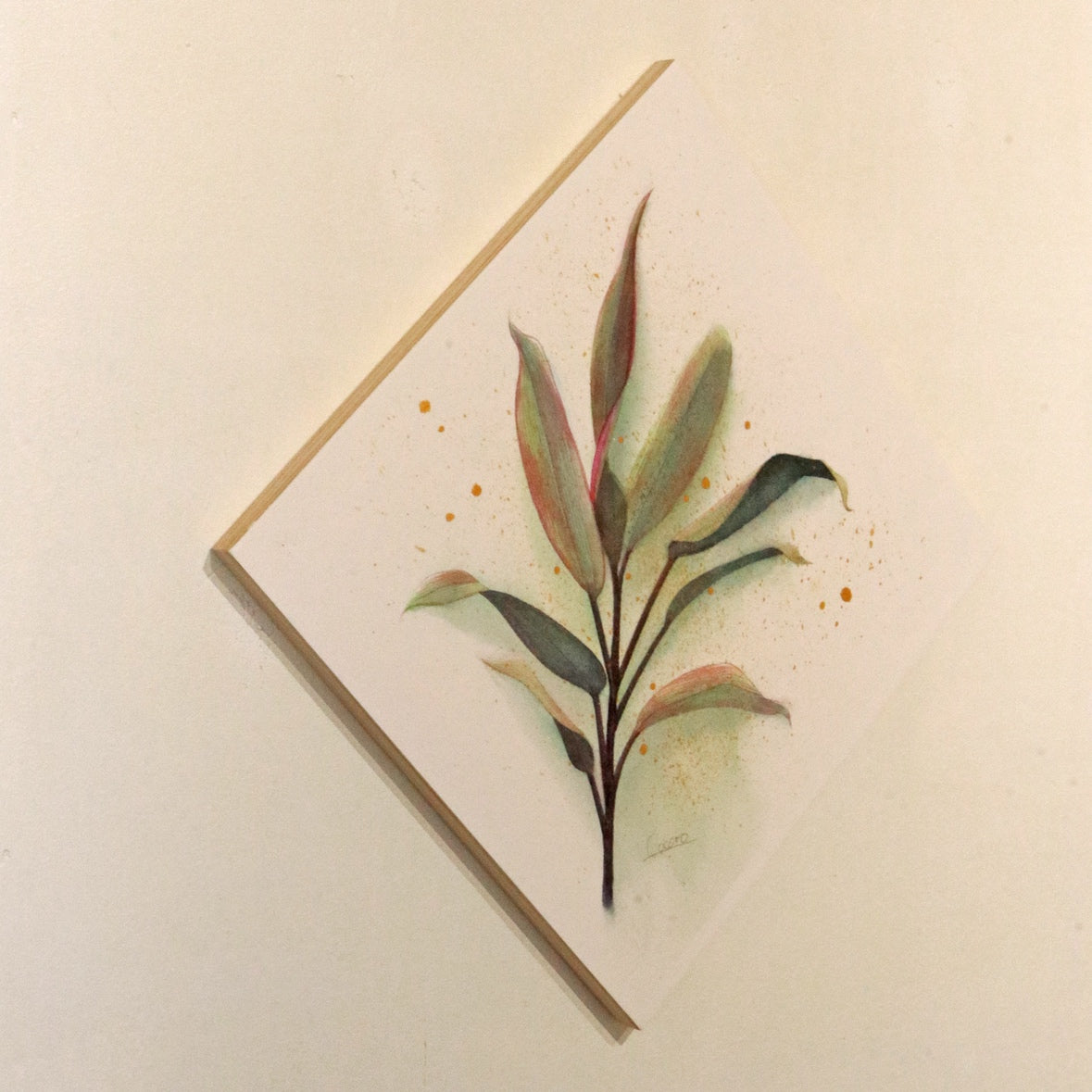 原画★コルジリネ　20×20cm