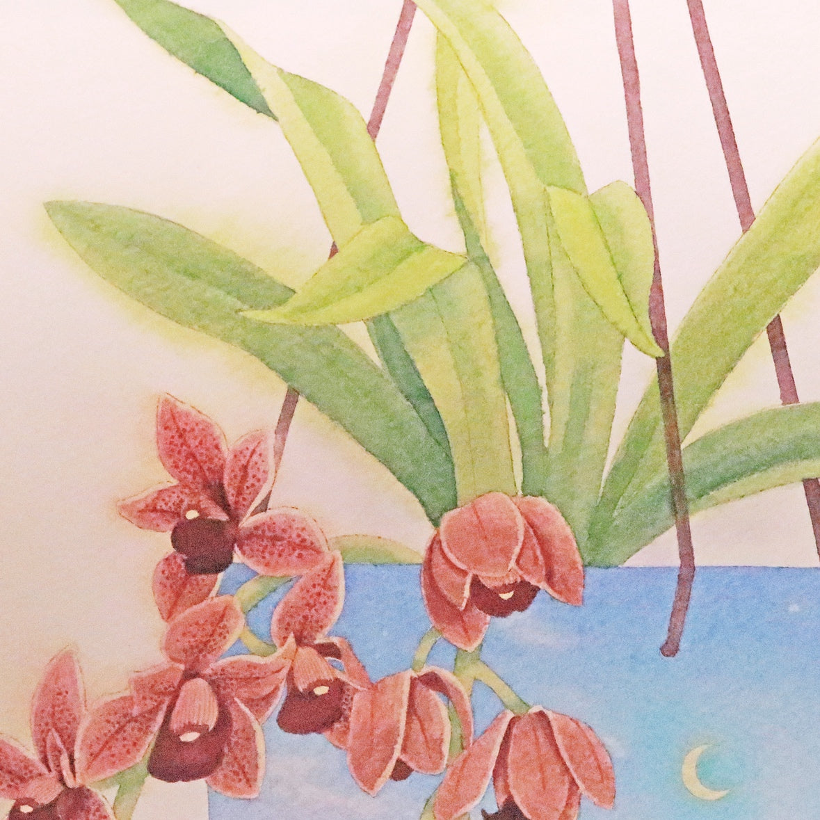 原画★和蘭　フォアゴットンフルーツ　37.5×30cm
