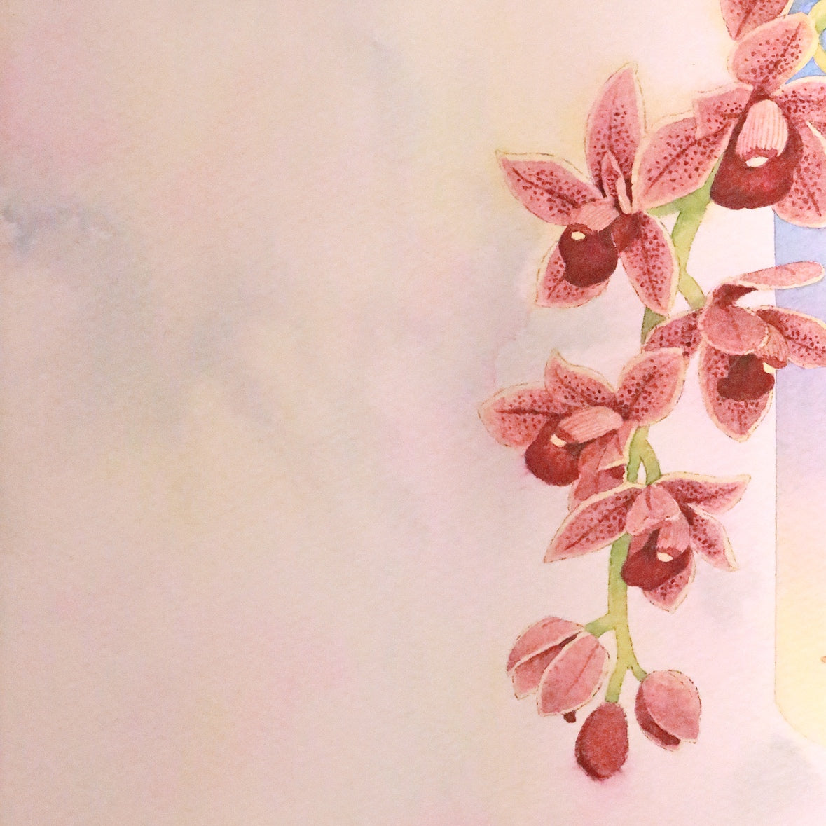 原画★和蘭　フォアゴットンフルーツ　37.5×30cm