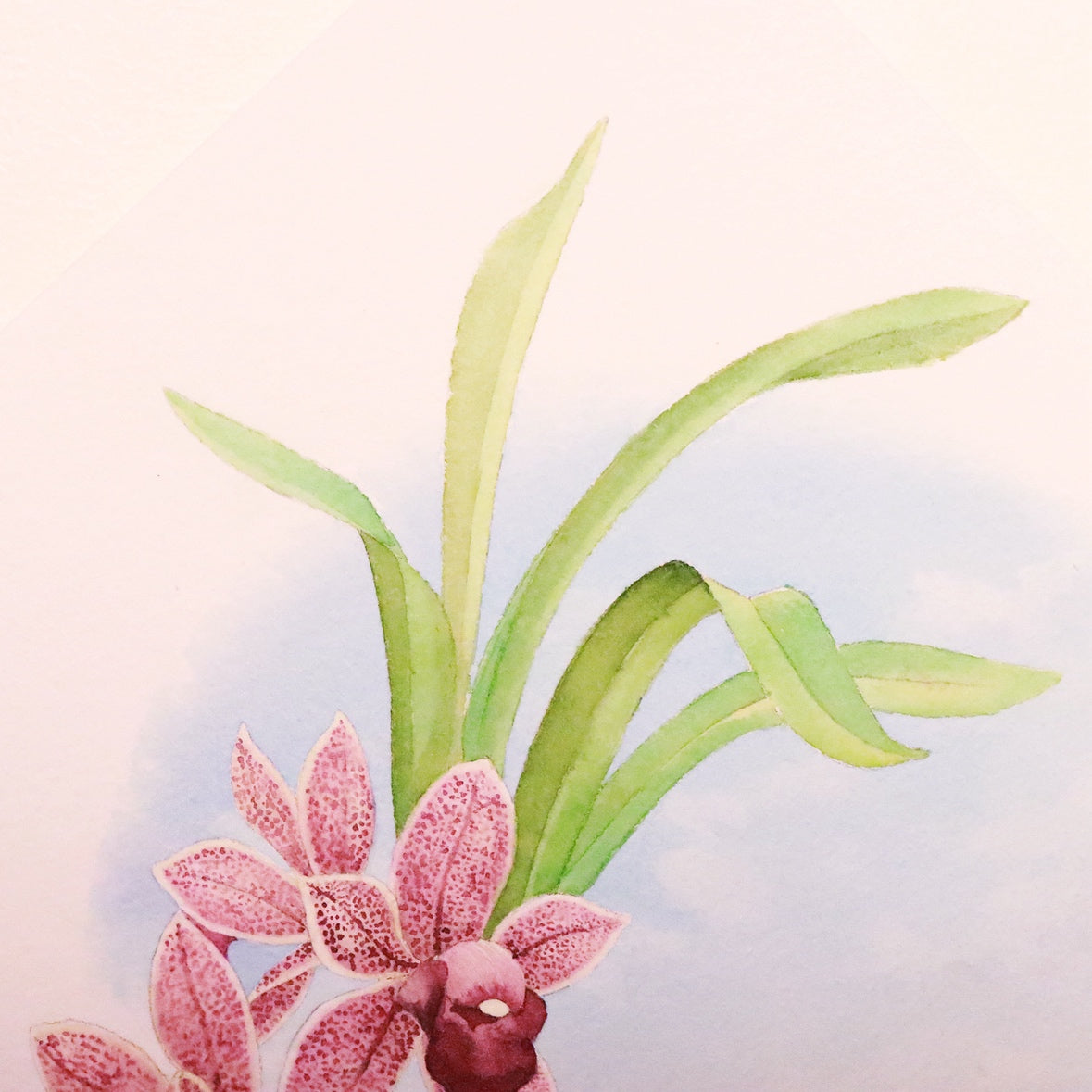 原画★和蘭　フォアゴットンフルーツ　20×20cm