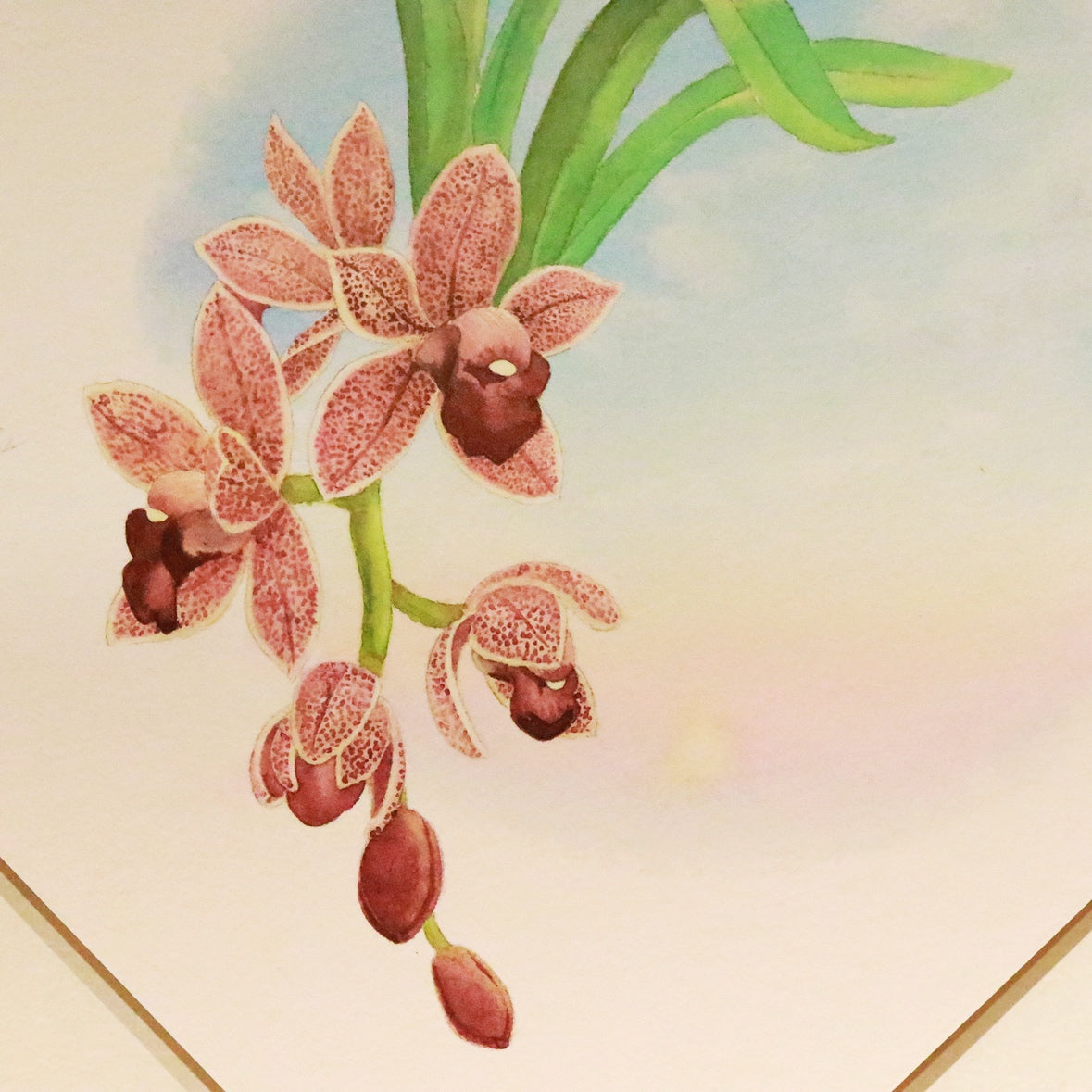 原画★和蘭　フォアゴットンフルーツ　20×20cm