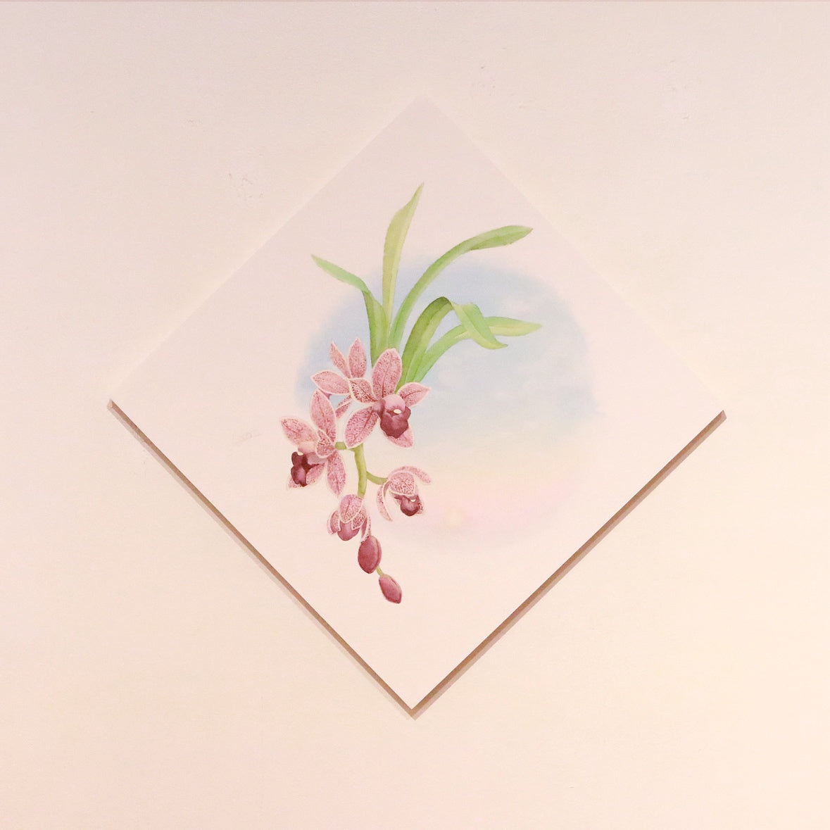 原画★和蘭　フォアゴットンフルーツ　20×20cm
