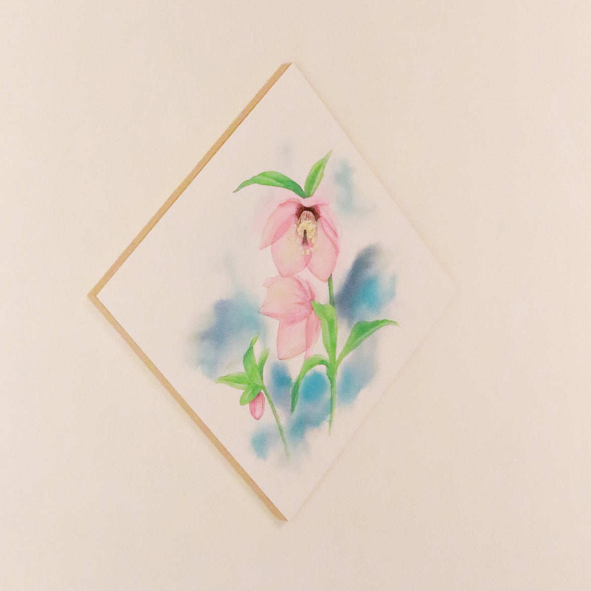 原画★クリスマスローズ　20×20cm