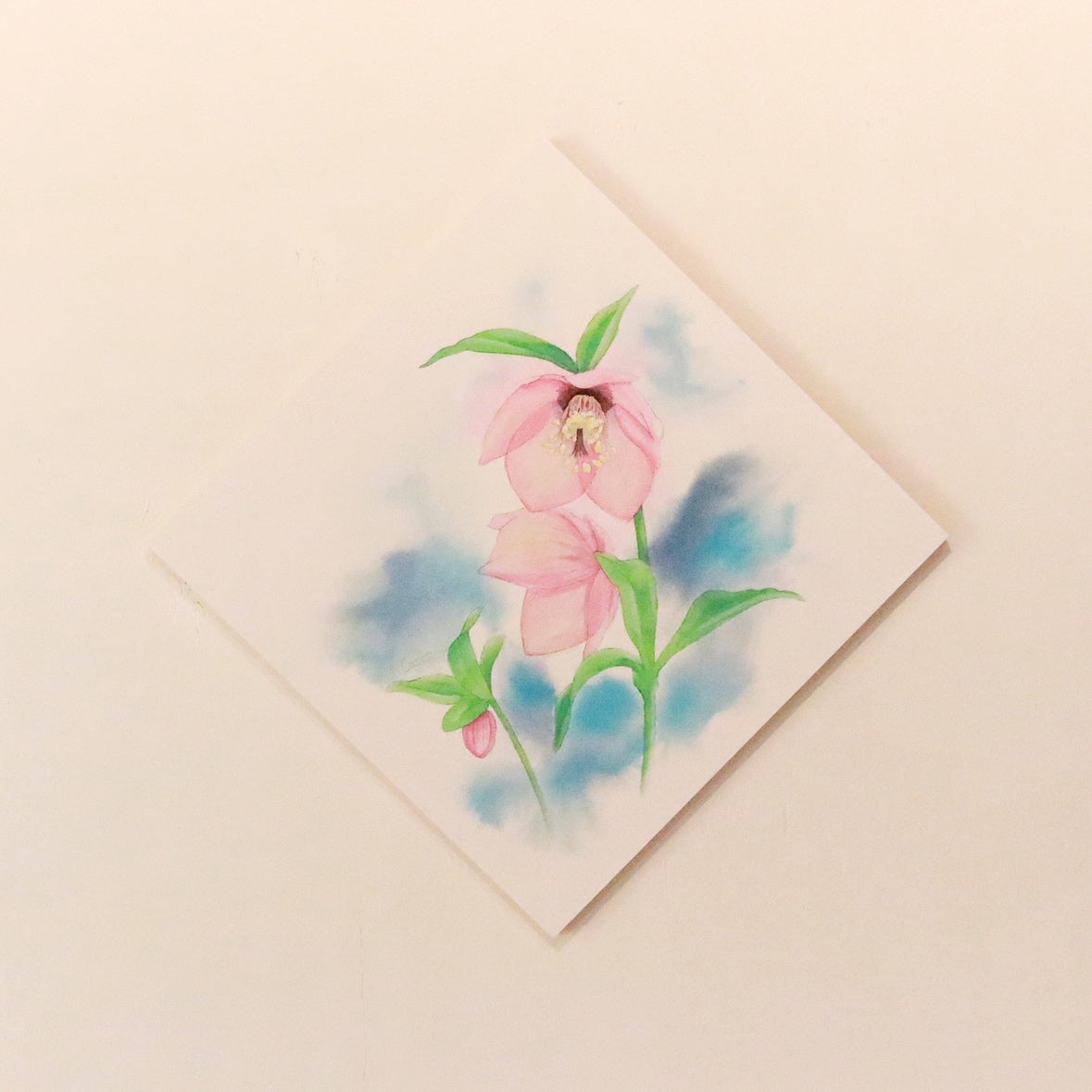 原画★クリスマスローズ　20×20cm