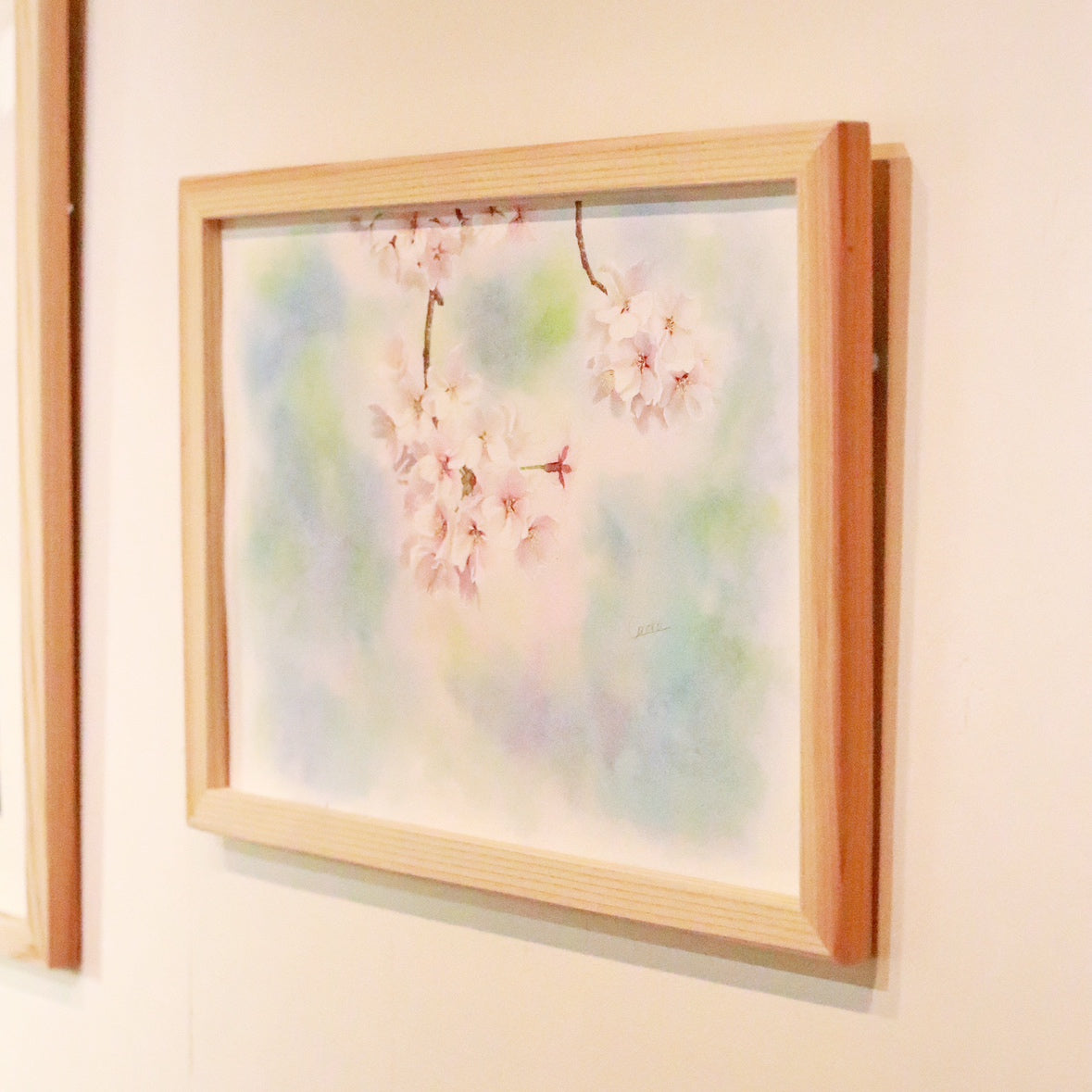 原画★桜　35.8×26.6cm