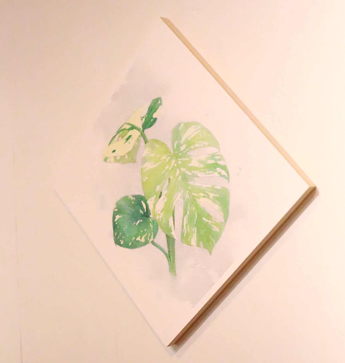 原画★モンステラ　20×20cm