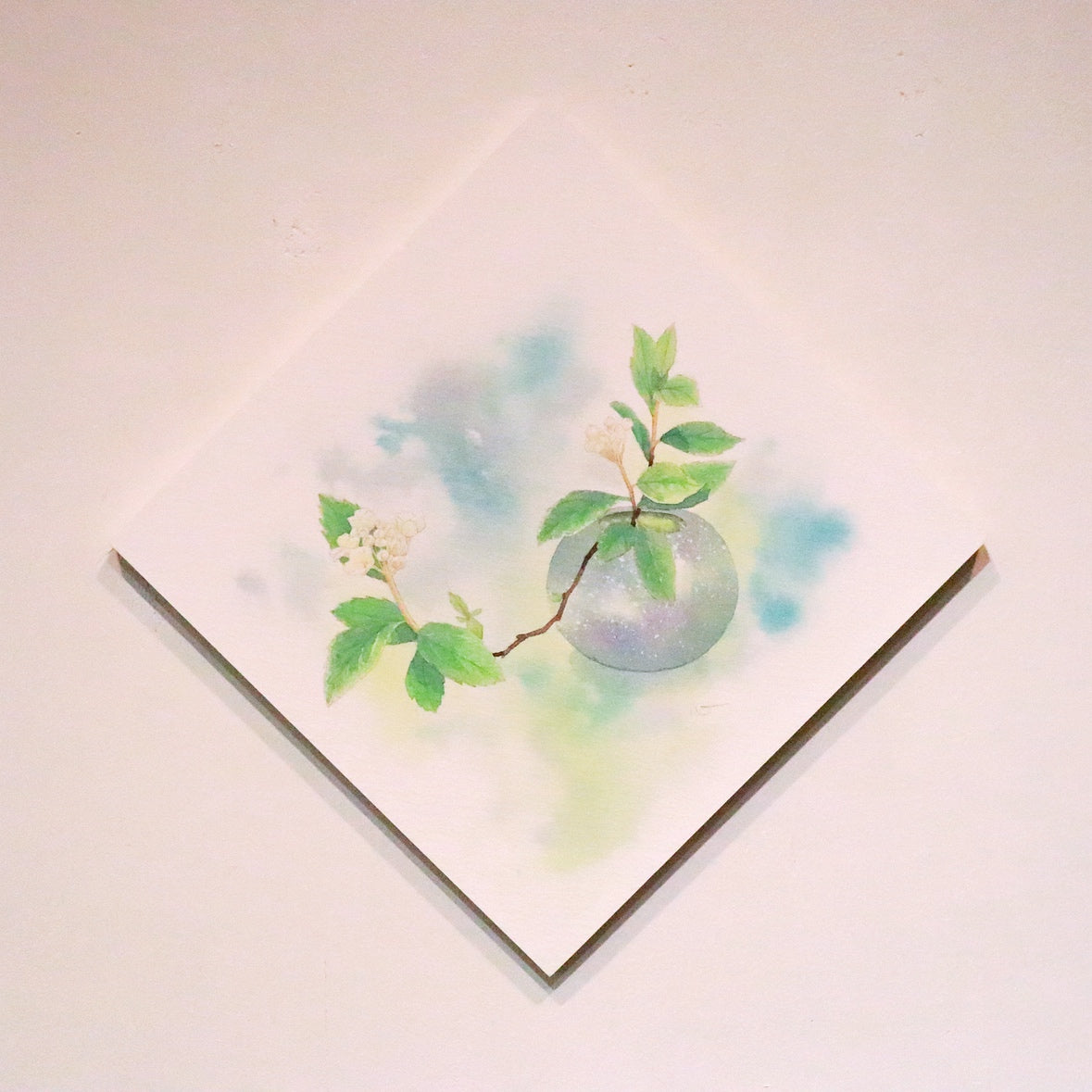 原画★コデマリ　20×20cm