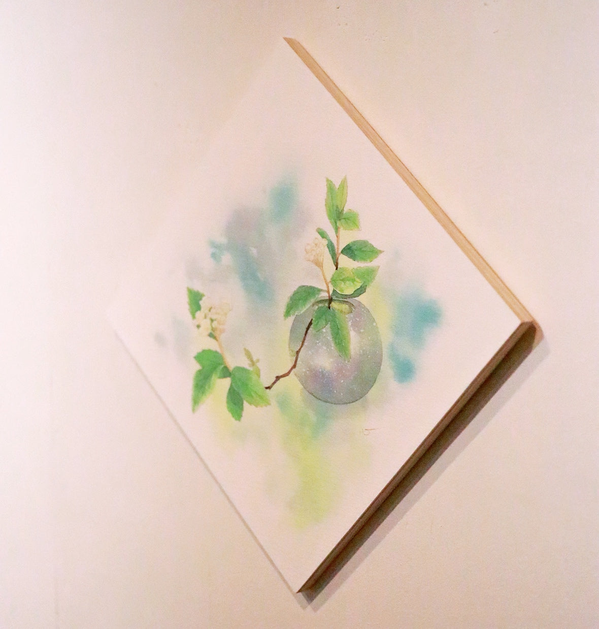 Pickup 全ての商品 – 植物家族