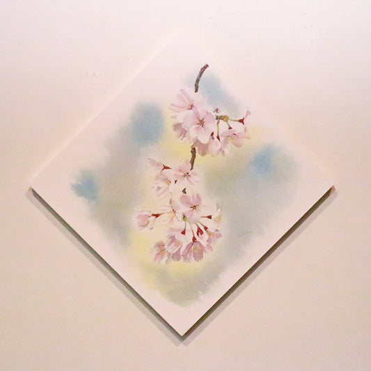 原画★桜 20×20cm