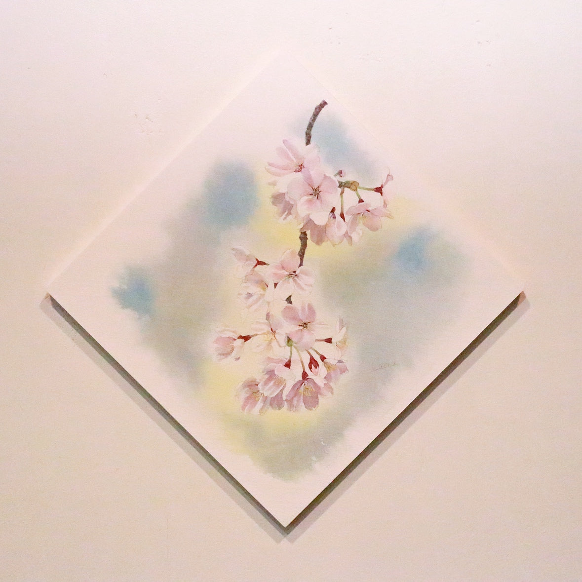 原画★桜　20×20cm