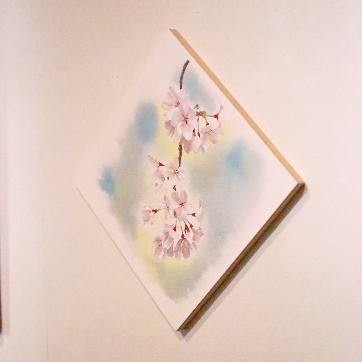 Pickup 全ての商品 – 植物家族