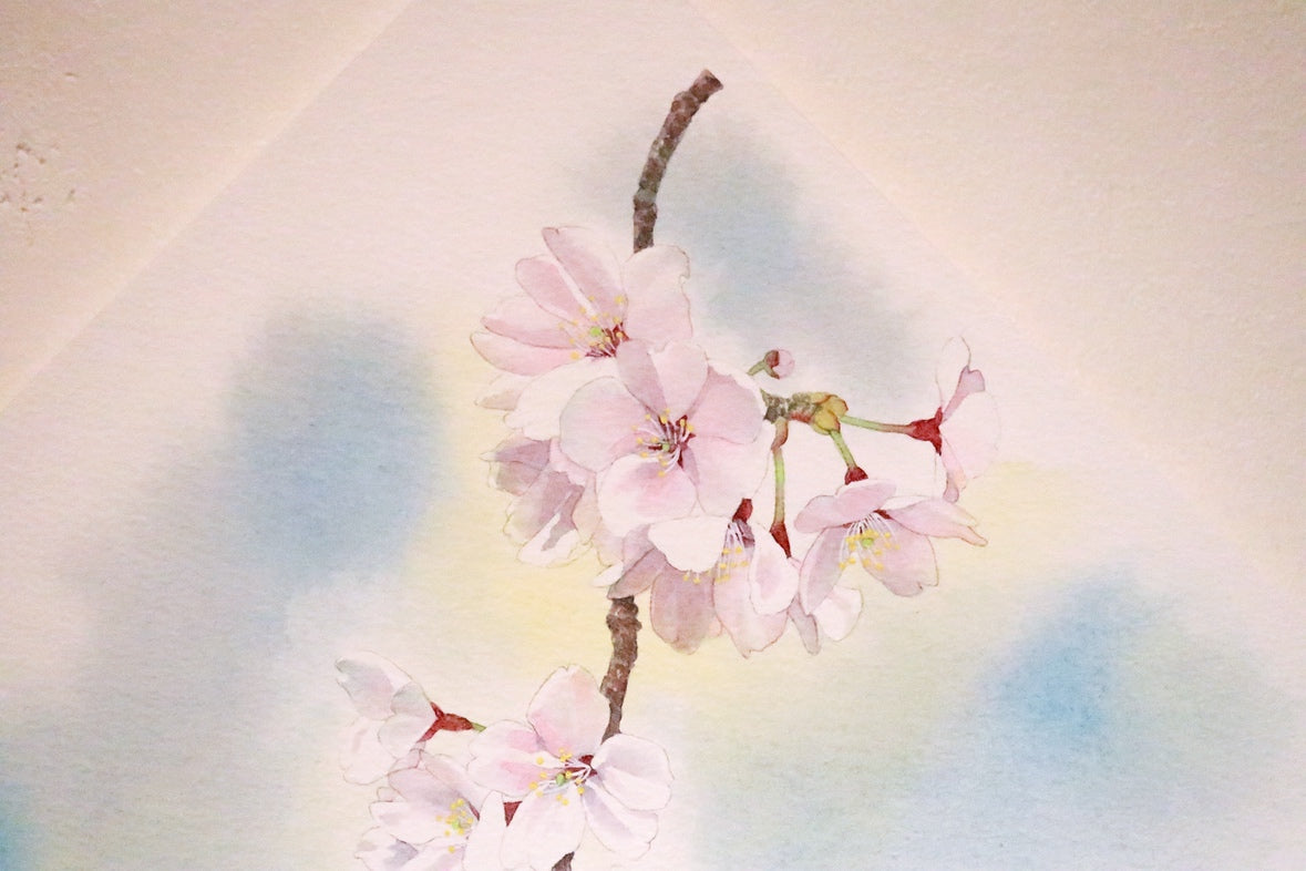 原画★桜　20×20cm