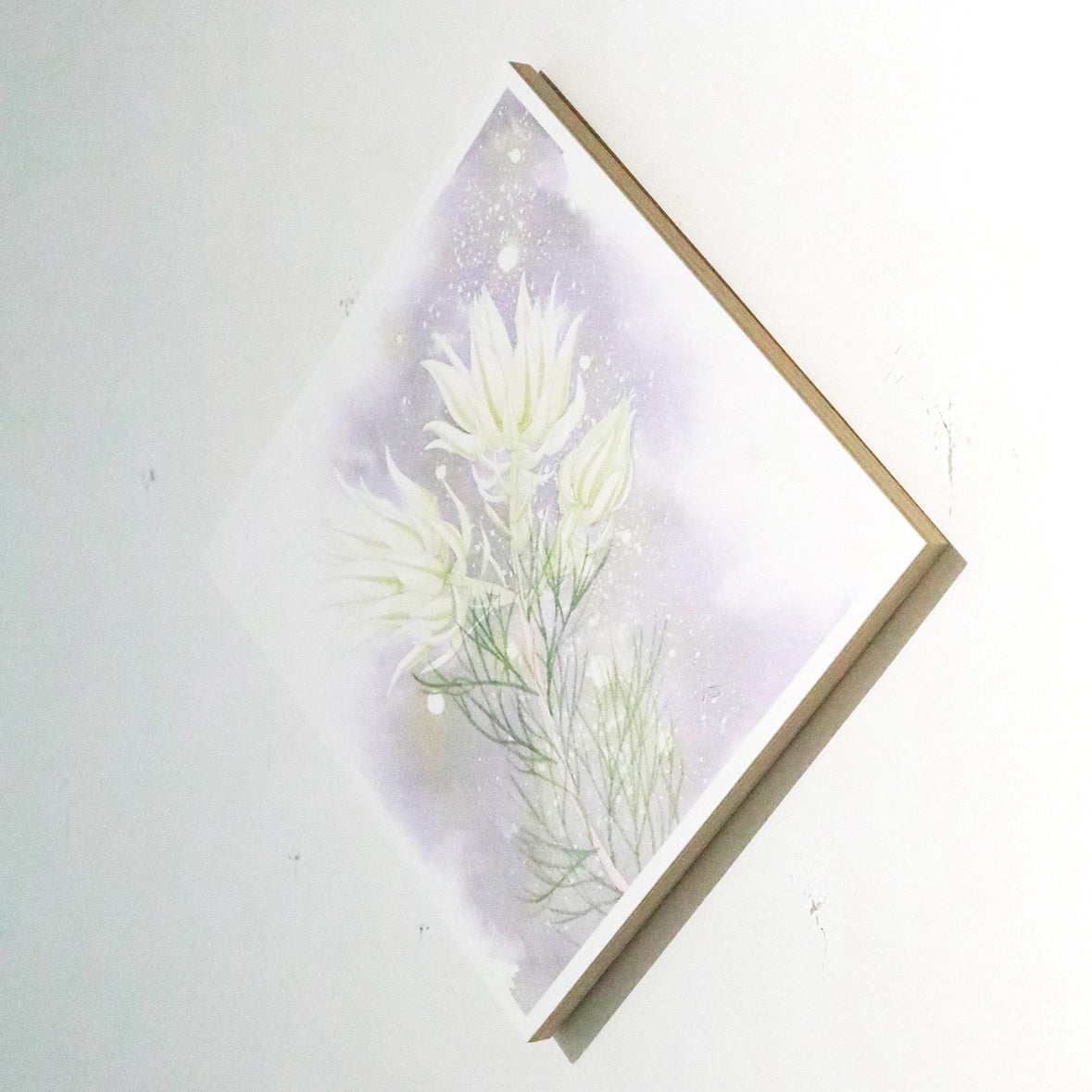 原画★セルリア　20×20cm
