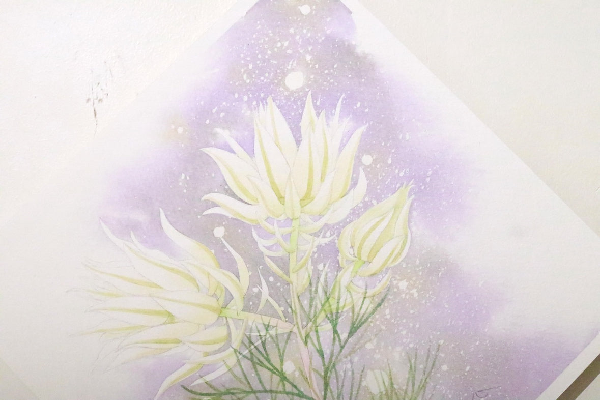 原画★セルリア　20×20cm