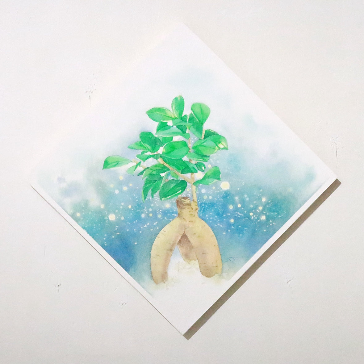 原画★ガジュマル　20×20cm
