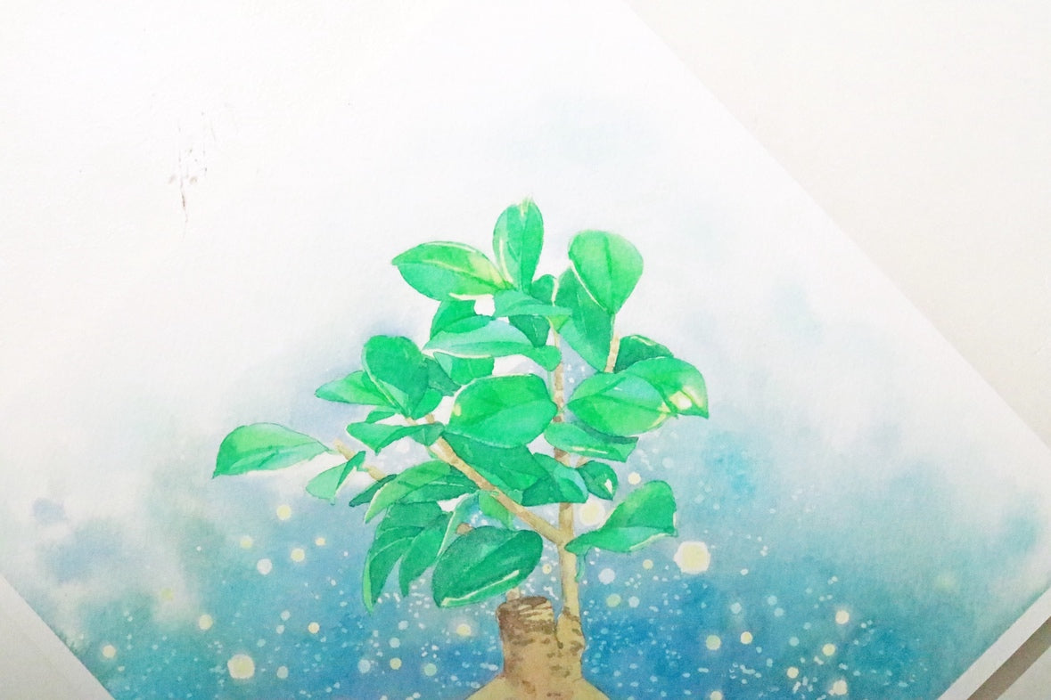 原画★ガジュマル　20×20cm