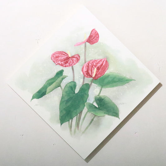 原画★アンスリウム　20×20cm