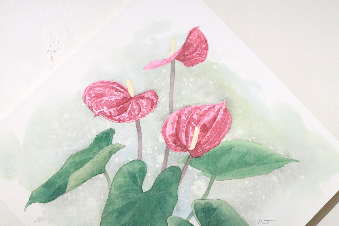 原画★アンスリウム　20×20cm