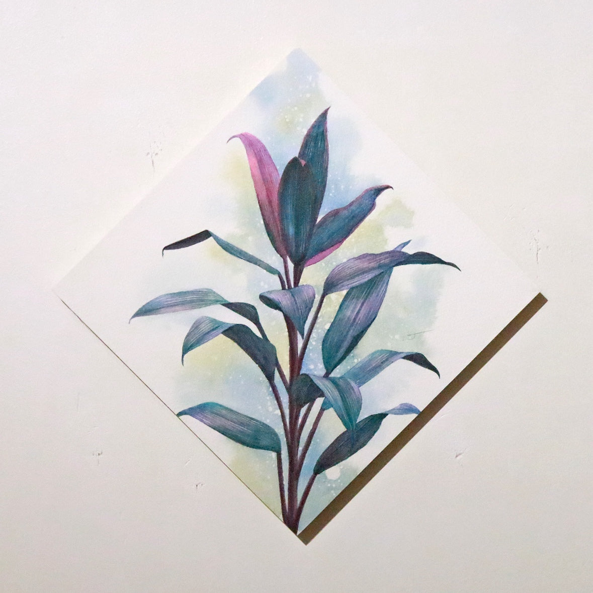 原画★コルジリネ　20×20cm