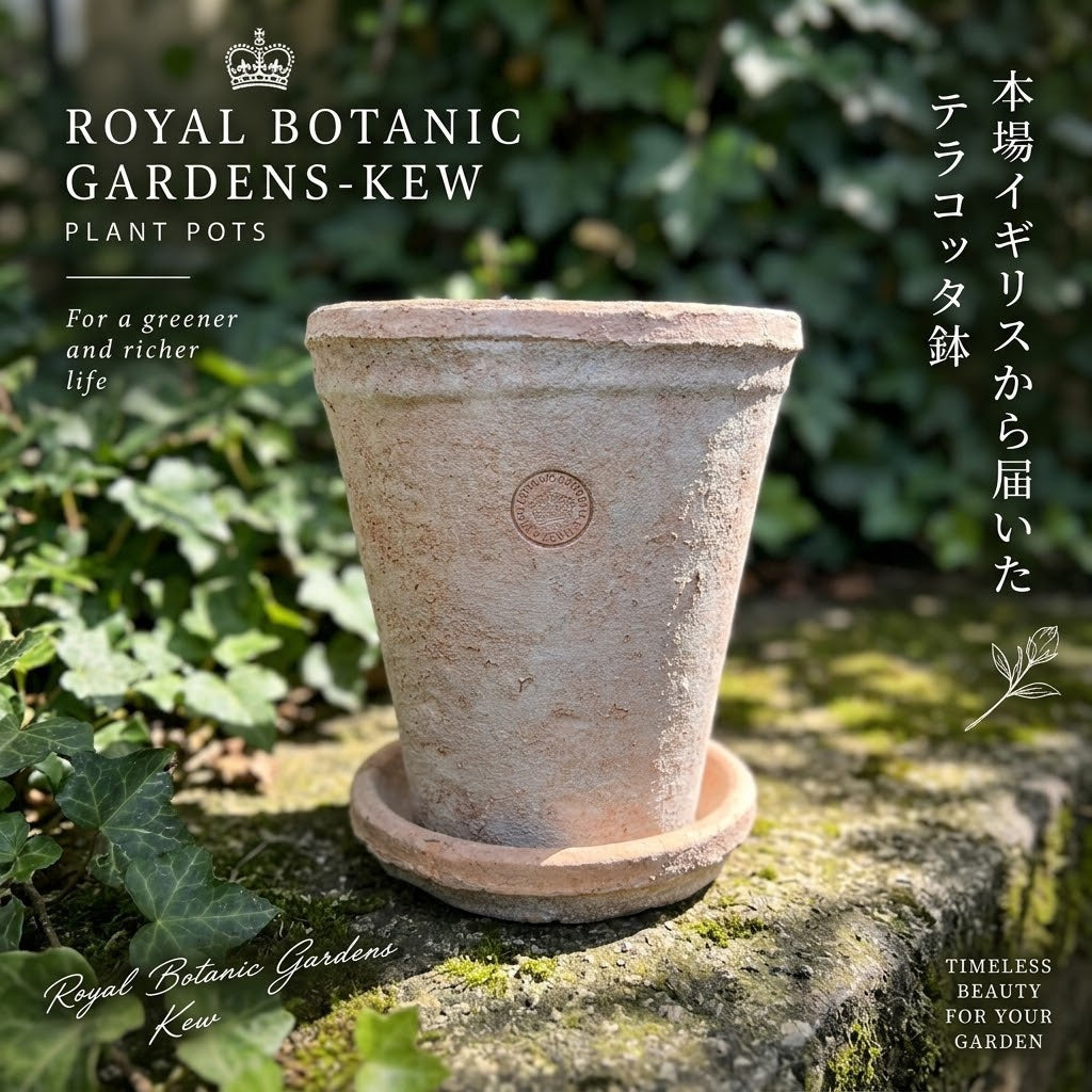 【期間限定30％OFF】社長大絶賛！！英国王立植物園キューガーデン公認ポット！通気性抜群★球根植物にも似合うこと間違いなし！！