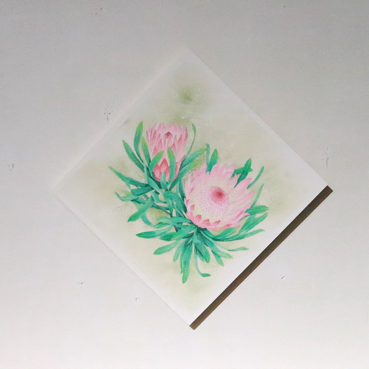 こころ作水彩画　原画★プロテア　20×20cm