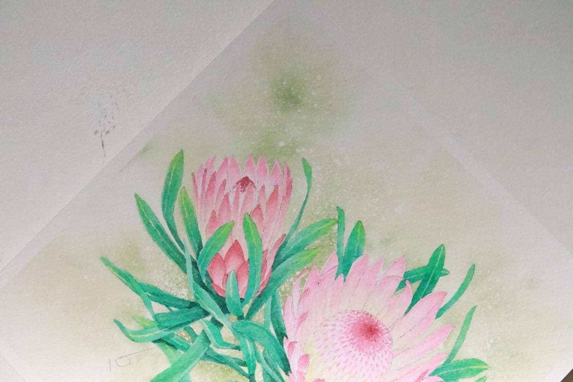 こころ作水彩画　原画★プロテア　20×20cm