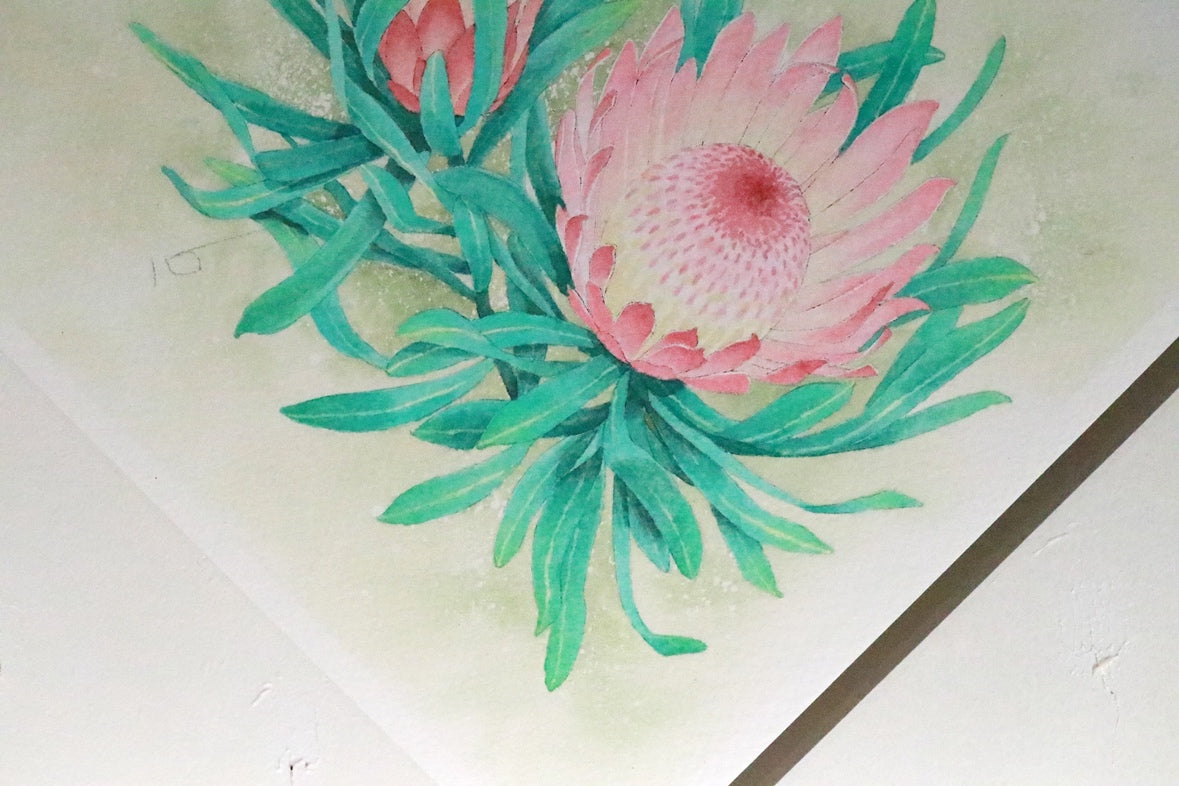 こころ作水彩画　原画★プロテア　20×20cm