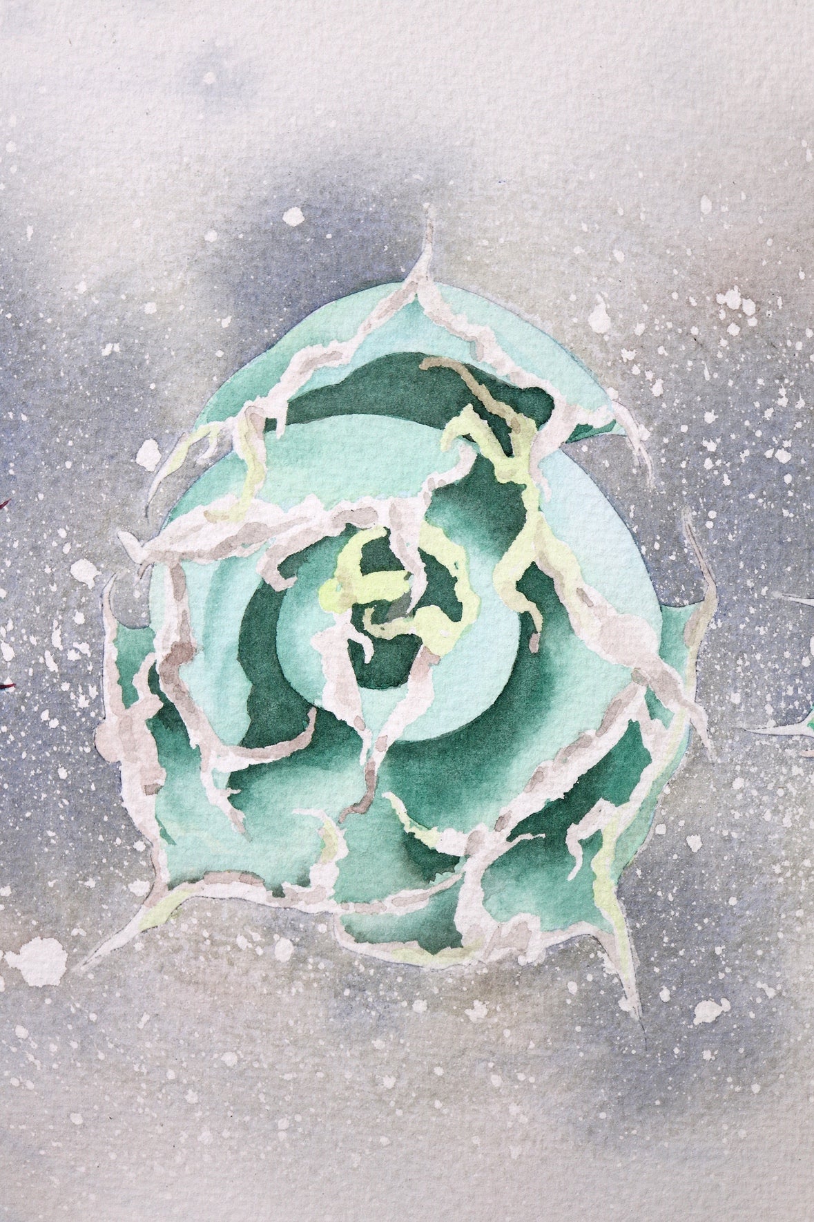 こころ作水彩画　原画★アガベ　22.8×20cm