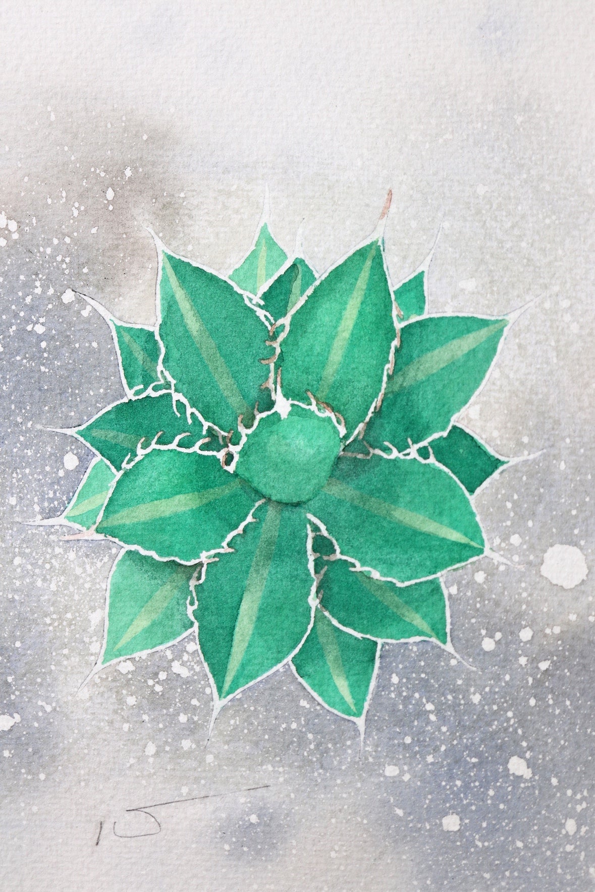 こころ作水彩画　原画★アガベ　22.8×20cm