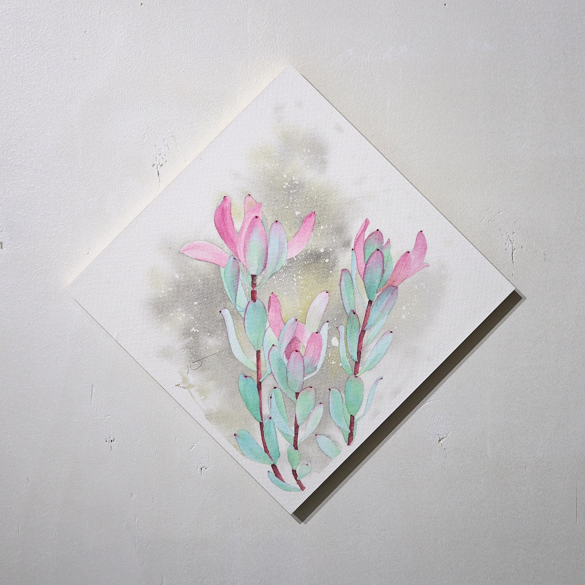 こころ作水彩画　原画★リュウカデンドロン　20×20cm