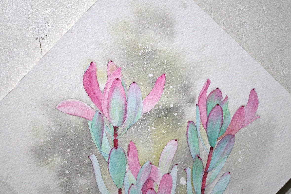 こころ作水彩画　原画★リュウカデンドロン　20×20cm