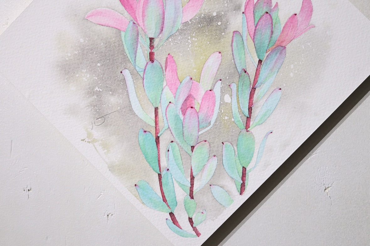 こころ作水彩画　原画★リュウカデンドロン　20×20cm