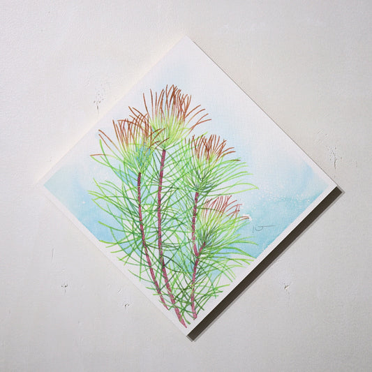こころ作水彩画 原画★オーラックス 20×20cm