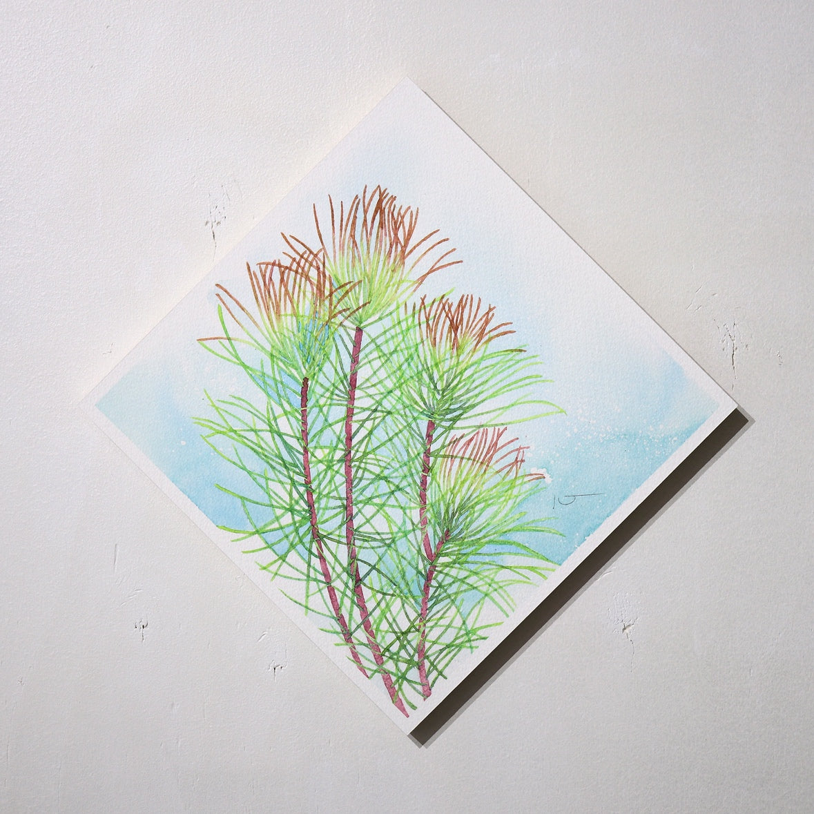 新作★こころ作水彩画　原画★オーラックス　20×20cm