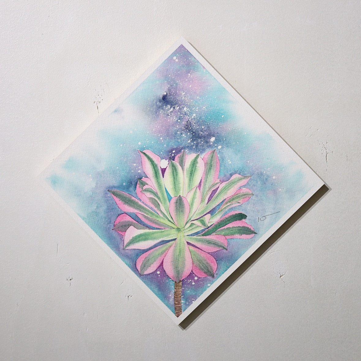 こころ作水彩画　原画★アエオニウム　20×20cm