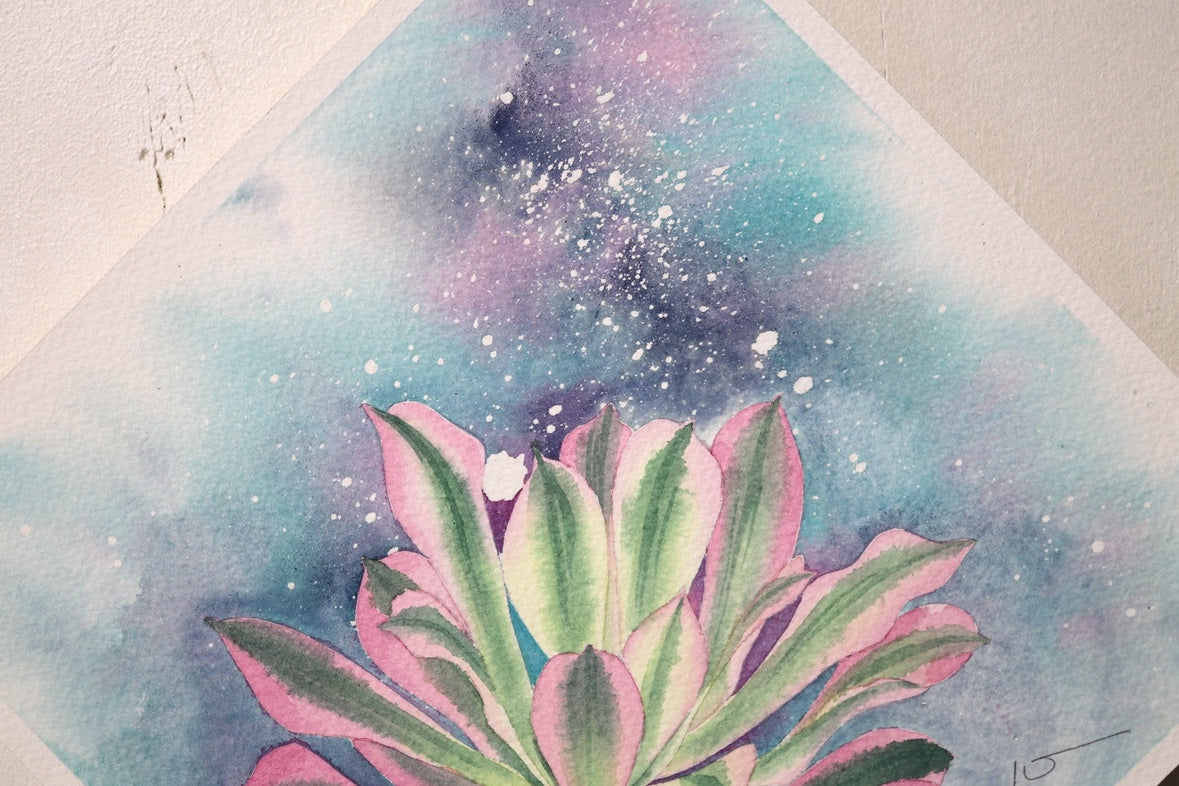こころ作水彩画　原画★アエオニウム　20×20cm